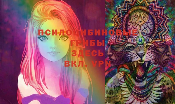 экстази Белокуриха