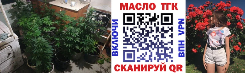 цена   Гороховец  OMG   Дистиллят ТГК THC oil 