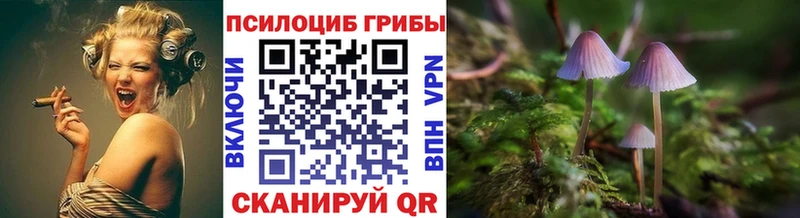 Псилоцибиновые грибы MAGIC MUSHROOMS  omg зеркало  Гороховец  наркошоп 