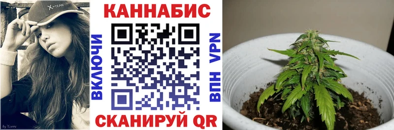 МАРИХУАНА гибрид купить Гороховец
